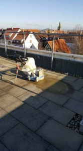 Neutralisierung intensiver Reinigung Schliff Alge und Anti-Pilz-Behandlung Boden